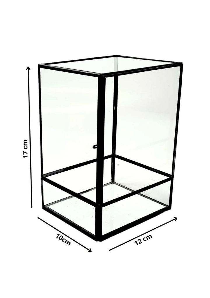 Terrarium geometrico Angolo Verde 2TR075 - i Giardini di Giulia