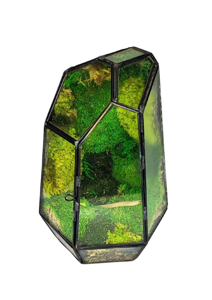 Terrarium geometrico Cristallo di Smeraldo 2TR072 - i Giardini di Giulia