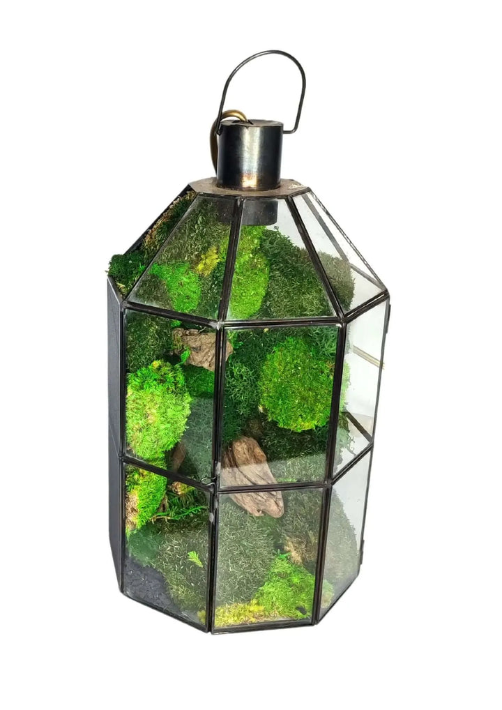 Terrarium geometrico Faro di Cristallo 2TR078 - i Giardini di Giulia