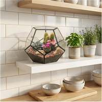 Terrarium piante grasse su mensola bianca in cucina, stile minimalista