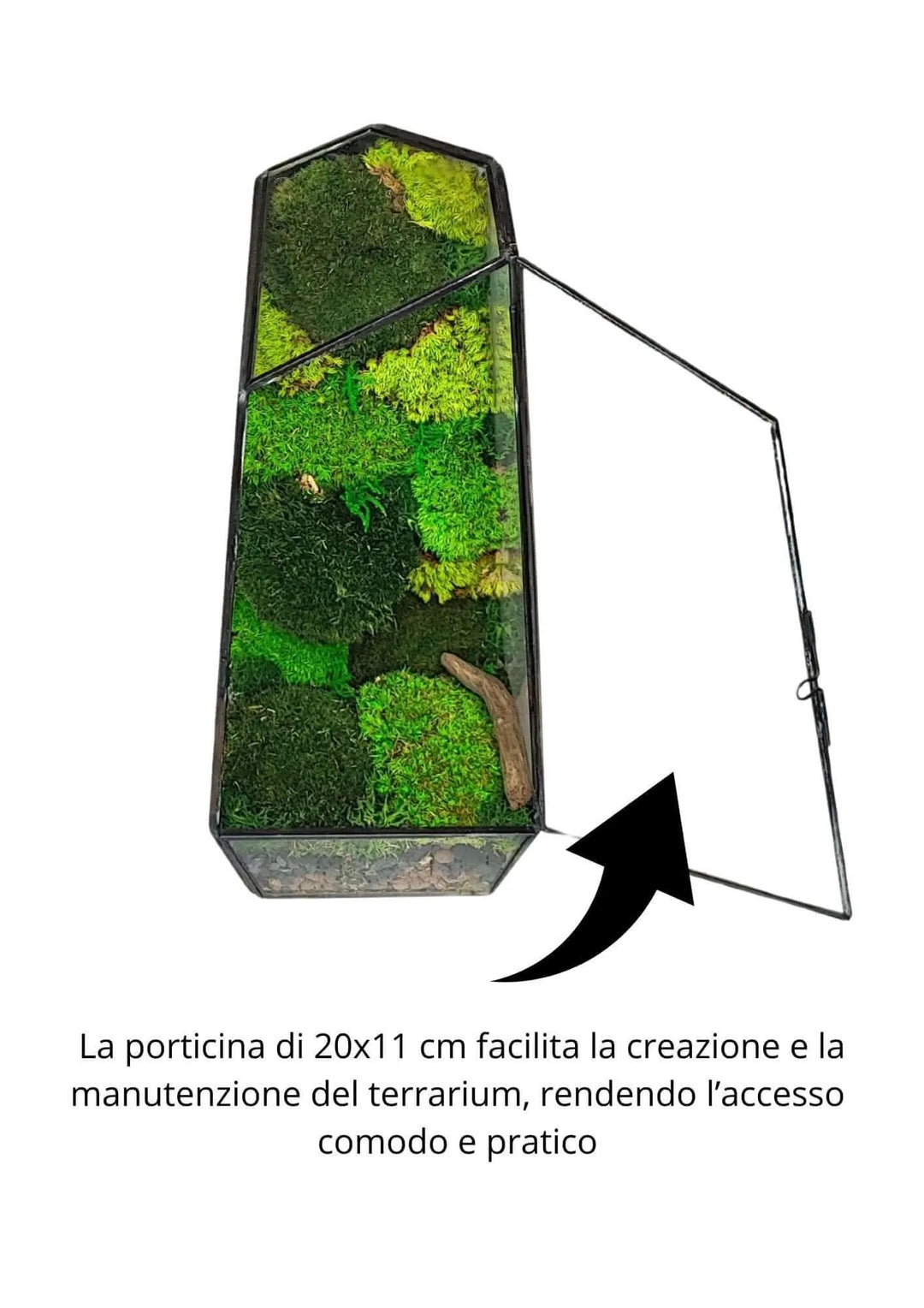 Terrarium geometrico Oasi di Luce 2TR068 - i Giardini di Giulia