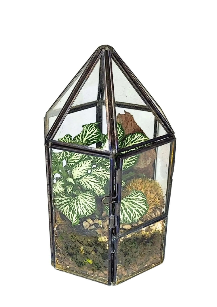 Terrarium geometrico Serra di Cristallo - i Giardini di Giulia