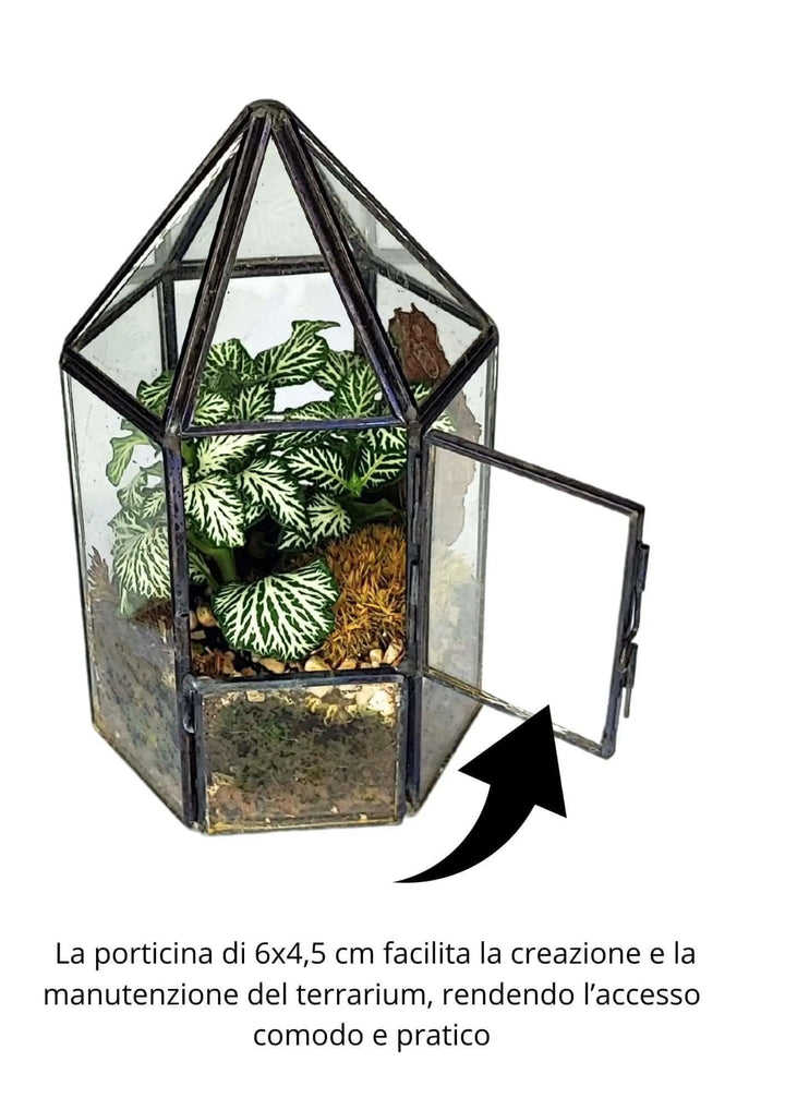 Terrarium geometrico Serra di Cristallo - i Giardini di Giulia