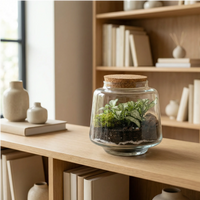 Terrarium Fittonia su mensola in soggiorno, idea regalo green originale