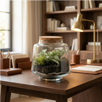 Terrarium Mini Hortus su scrivania in ufficio, decorazione naturale compatta
