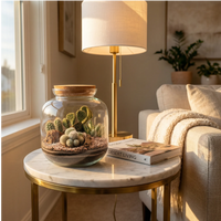 Terrarium Irene vetro sughero deserto cactus su tavolino marmo ottone salotto. Divano beige lampada ottone libro plaid. Elegante contemporaneo.