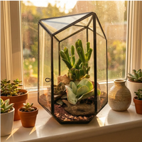 Terrario geométrico Iris con plantas suculentas