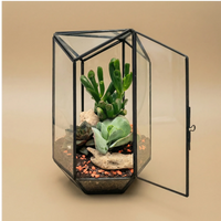 Terrario geométrico Iris con plantas suculentas