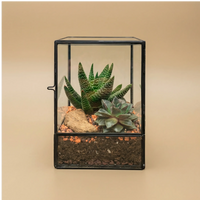 Terrarium Nora geometrico metallo nero vetro con Aloe Haworthia puntini bianchi e succulente. Design moderno minimalista. Porta apribile.
