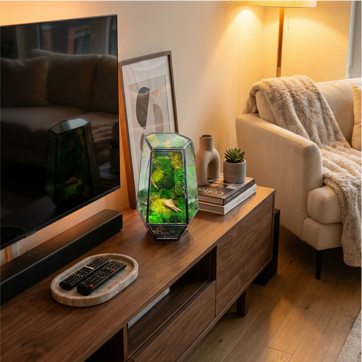 Terrarium Prisma Green stabilisé