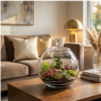 Terrarium sferico grande centrotavola salotto elegante divano velluto lampada ottone
