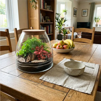 "Tropical Haven" Terrarium