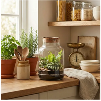 Terrarium con piante verdi da appartamento - vaso su mensola in cucina stile farmhouse con elementi decorativi