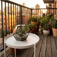 Terrarium Zoe esagonale piante grasse su tavolino balcone metallo bianco. Piante vasi legno ringhiera vista città. Oasi urbana golden hour outdoor.