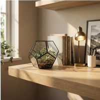 Terrarium Zoe esagonale top aperto mostra Crassula Jade Haworthia zebrata succulenta rosetta. Metallo nero vetro. Cura facile accesso pratico.