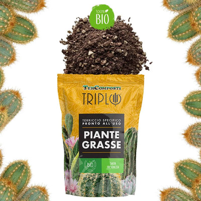 Terriccio specifico per piante grasse 1.5 L