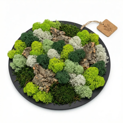 Black round frame of moss and lichens