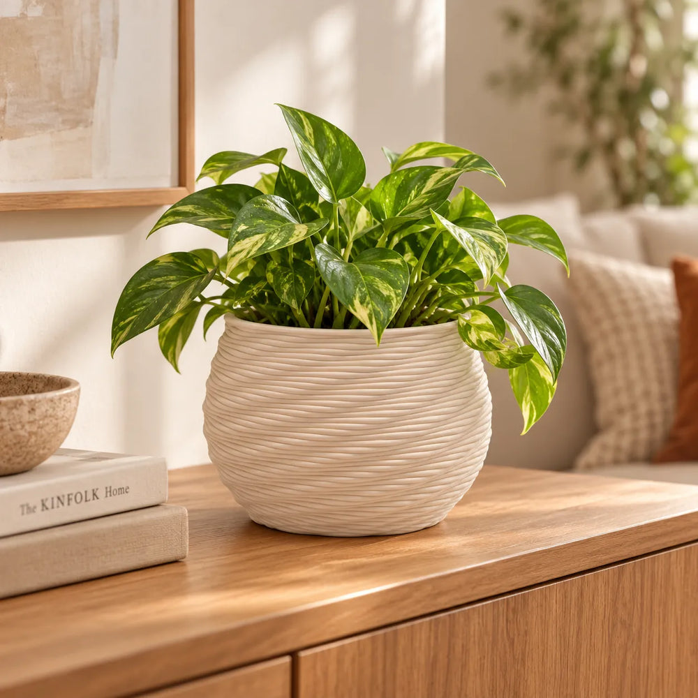 Vaso Carina in argilla 16 cm con pothos su mobile in legno in soggiorno (pianta non inclusa)