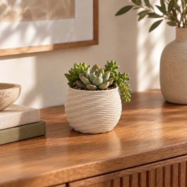 Vaso Carina in ceramica Made in Italy da 10 cm con piante grasse su mobile in legno